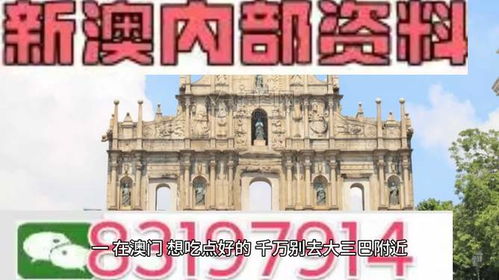 4949澳门精准免费大全游戏特色|解析时代背景下的资料解读_冒险版THE.0.908